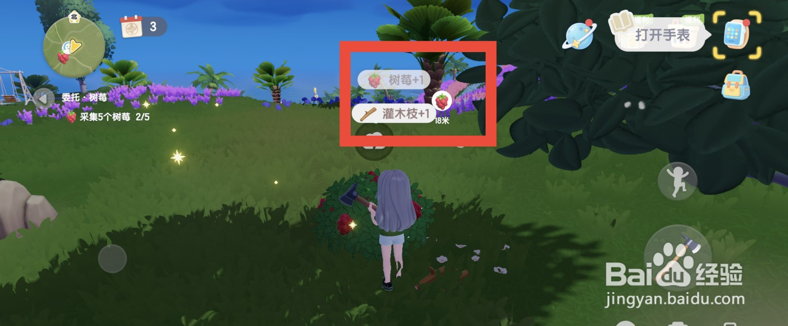 心动小镇采摘树莓的方法