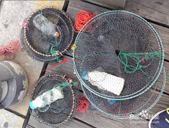怎样在海边钓螃蟹?海边如何钓螃蟹\怎么抓螃蟹