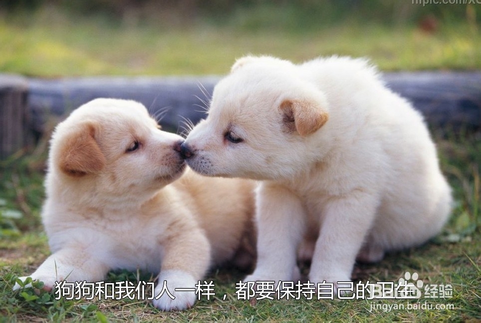 如何预防不曾注意道的过敏源