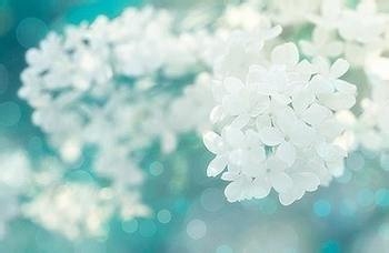 老年人糖尿病禁忌哪些东西