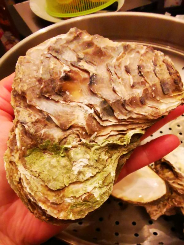 蒜蓉粉丝黑椒烤生蚝