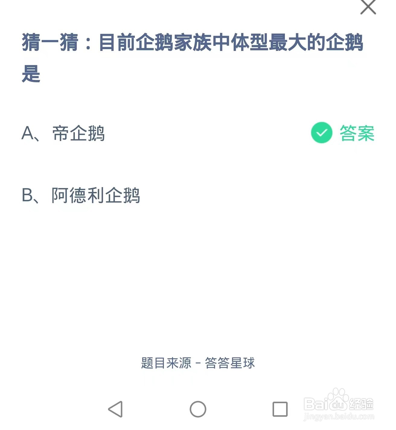 蚂蚁庄园2024.9.4：目前企鹅家族中体型最大企鹅