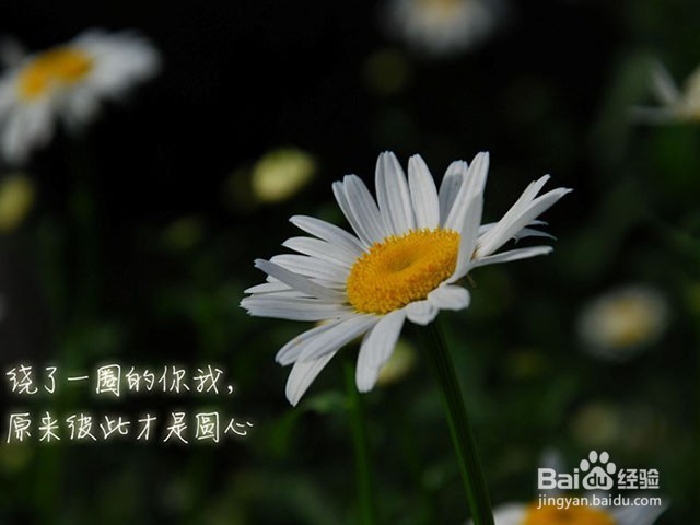 如何处理好异地恋