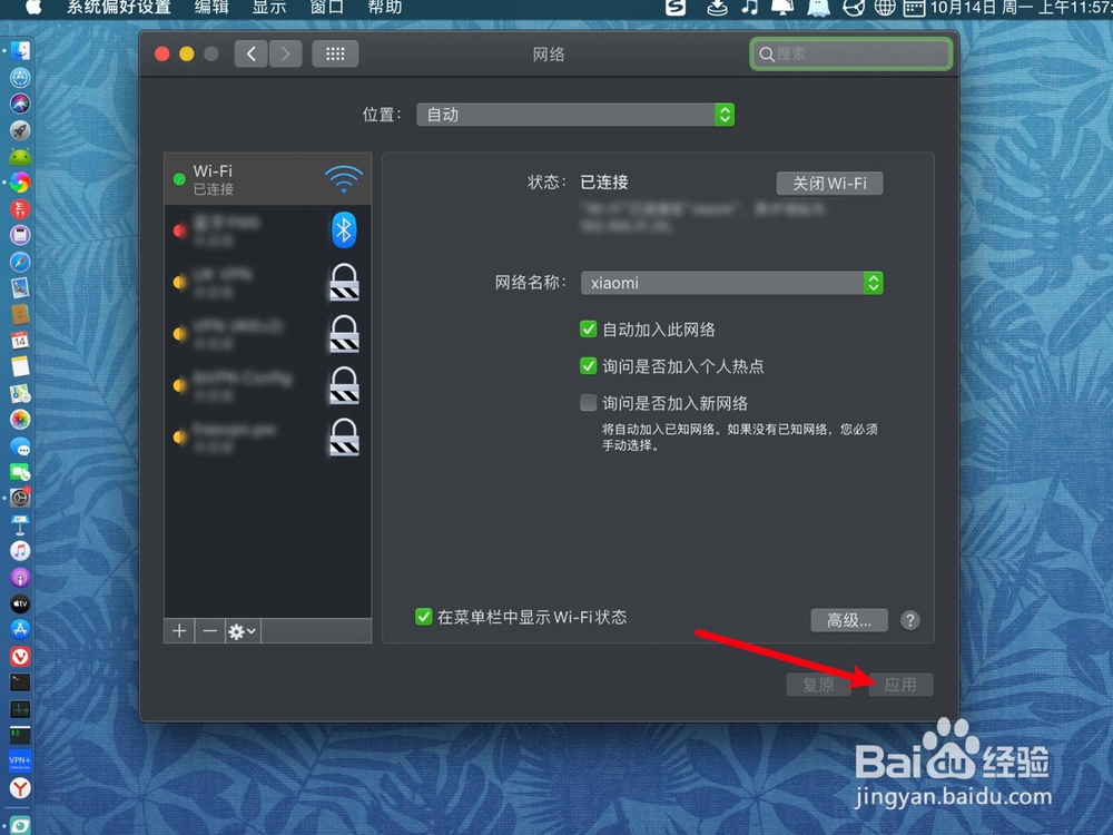 苹果电脑怎么自动获取IP