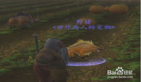 魔兽世界猎人如何抓宠物