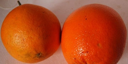 怎样挑选好吃的橙子