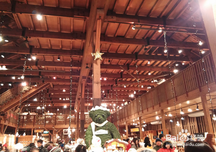 一条性价比爆棚的万元以下日本北海道观雪路线