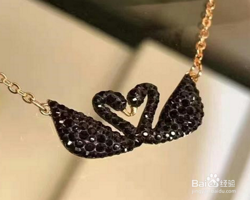 怎么区分黑天鹅真假