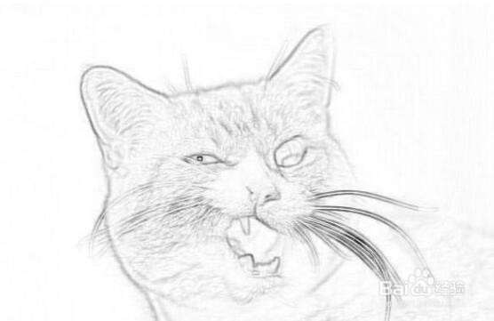 如何从彩色照片中提取它的黑白线稿