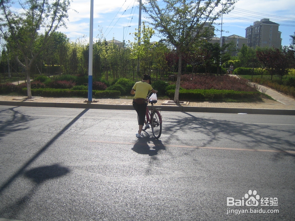 怎样告诉孩子安全过马路--10