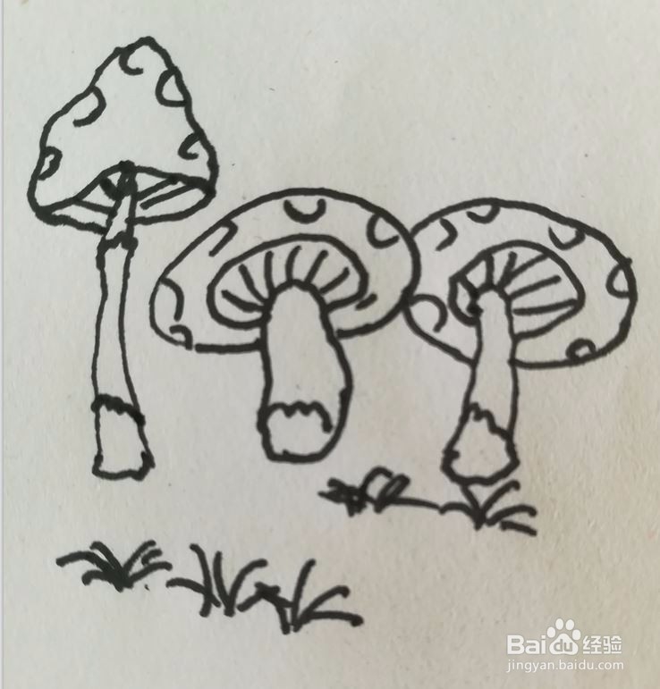小巧玲珑的蘑菇，简笔画步骤怎么画