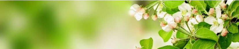 精子“长得丑”只能当陪跑