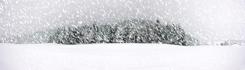 动态雪花效果制造教程