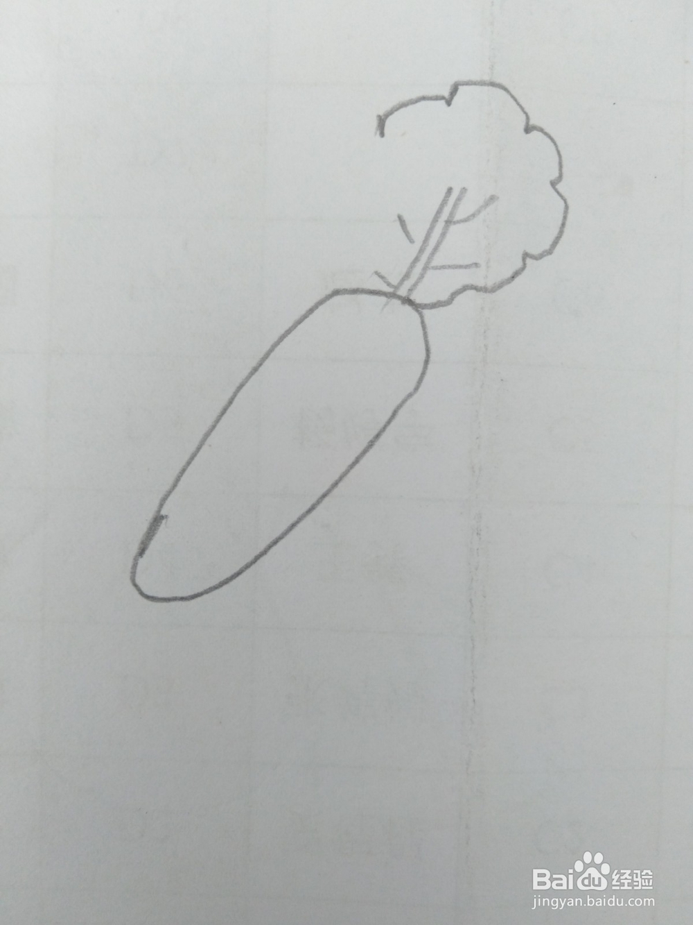 简笔画胡萝卜画法五