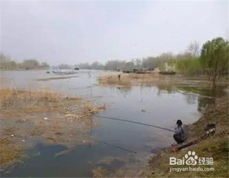秋天怎样钓鲫鱼