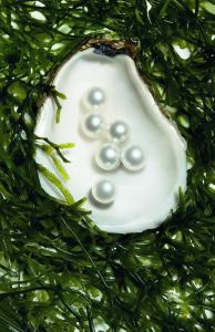 教您如何自制面膜