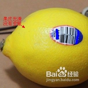 怎样挑选新鲜柠檬