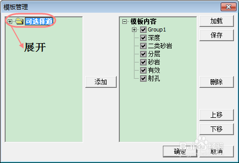 模板配置-根据实际需要进行项目模板配置