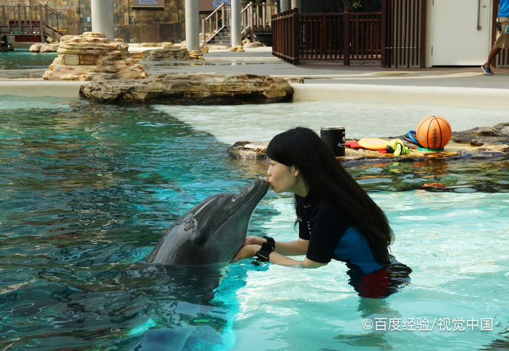 海豚为什么是吉祥的象征