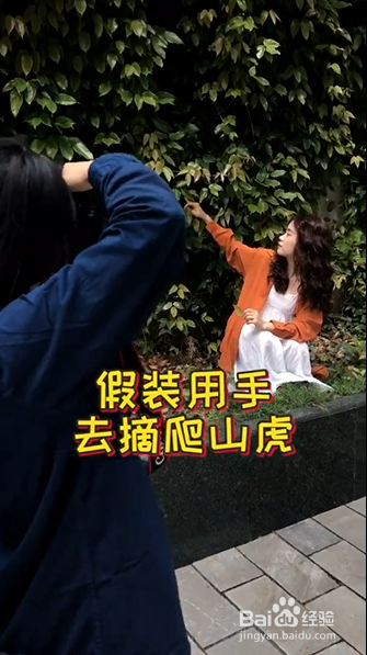 爬山虎如何拍出复古大片