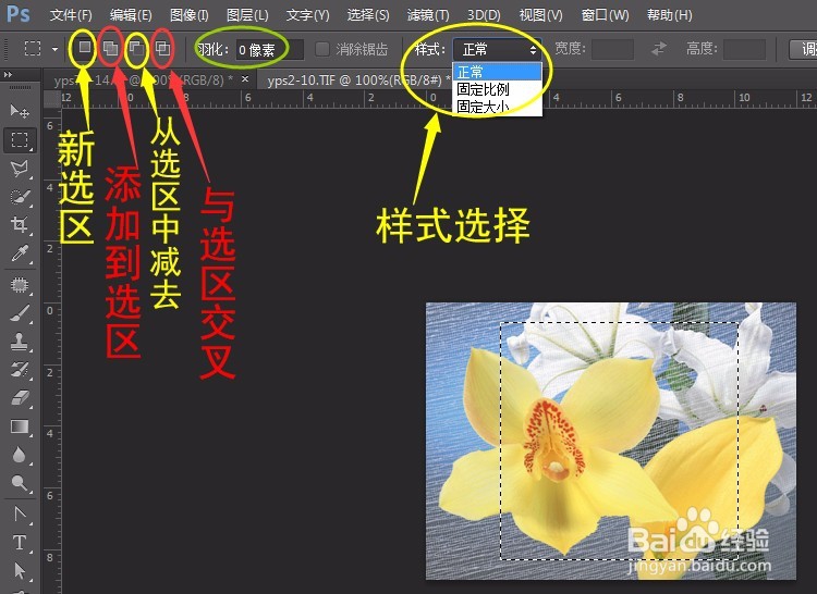 PS实例:抠图方法、技巧集合(一)