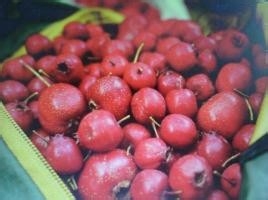 怀孕后饮食该注意哪些