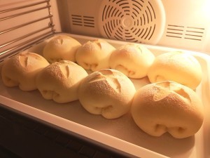 怎么做牛奶面包卷