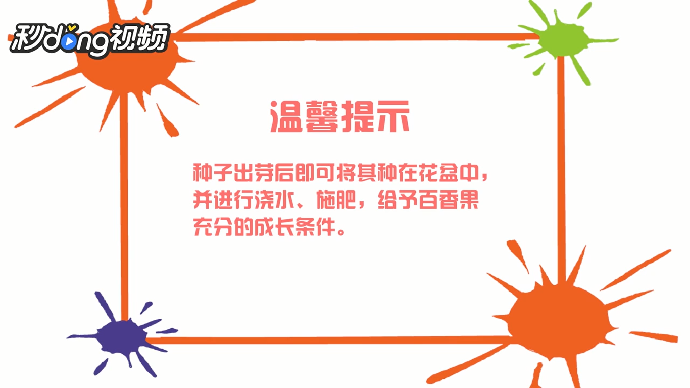 如何在阳台上种植百香果盆栽
