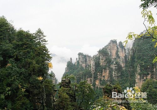 春节张家界自驾游