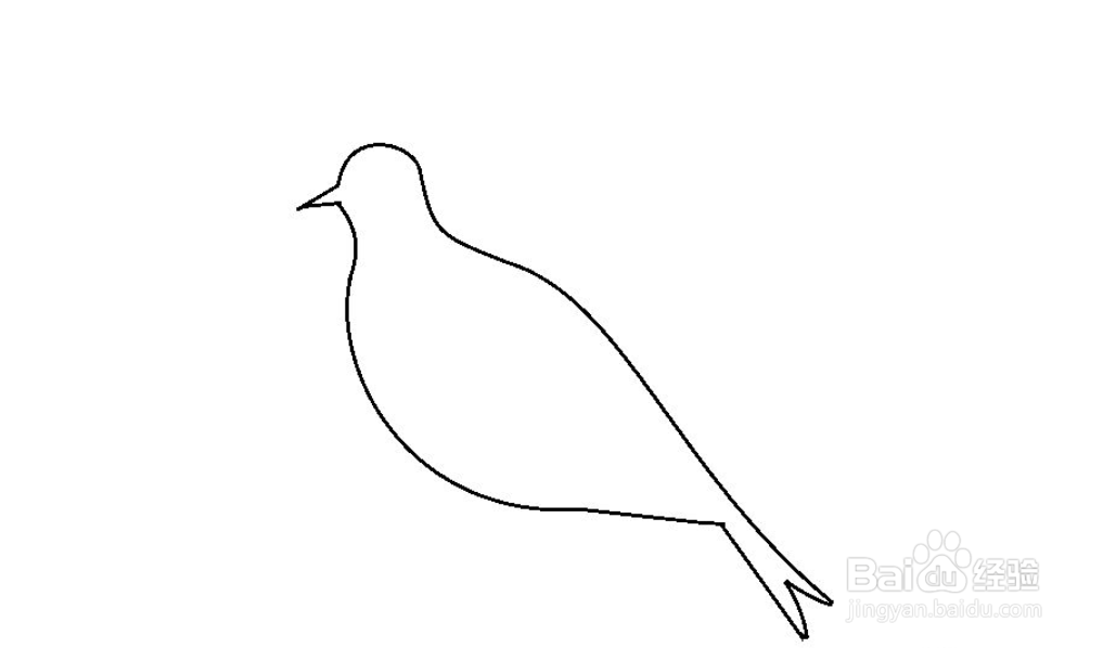 怎么简单画五彩鸟