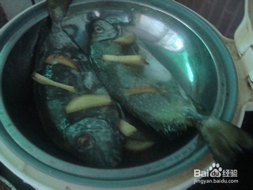 舌尖上的美味——豆豉蒸泥鯭