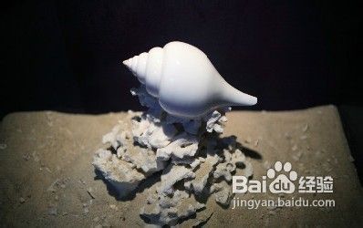 三亚亚龙湾旅游攻略