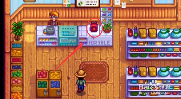 星露谷背包怎么扩大