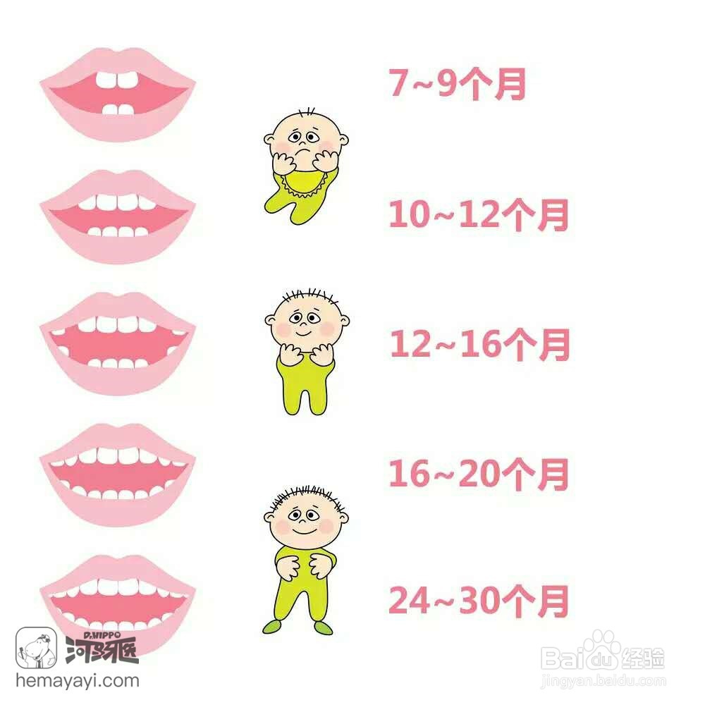 宝宝长牙期间的常见问题与解决方法