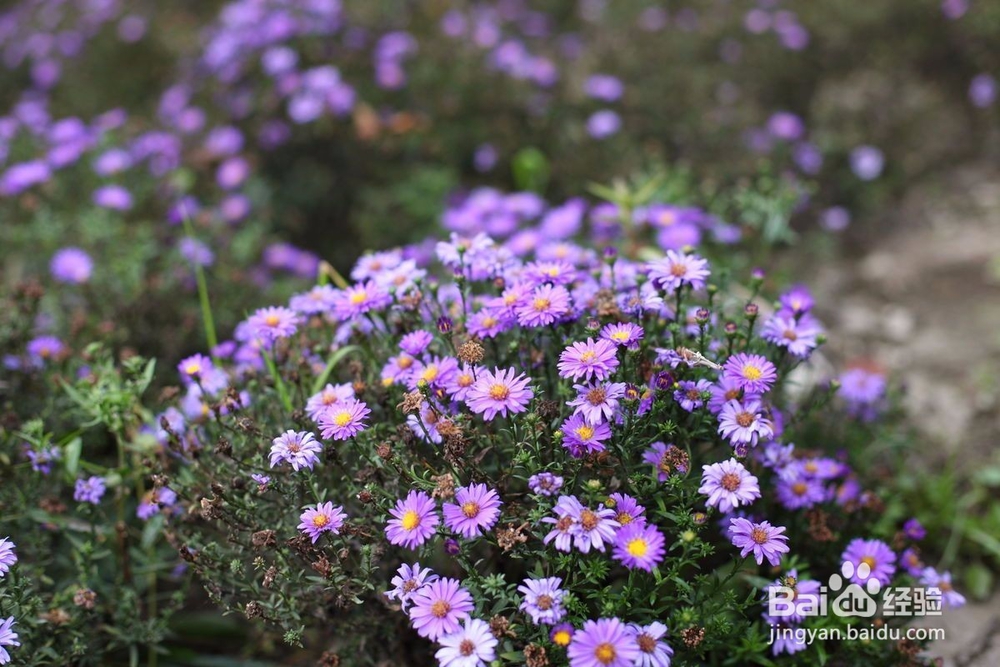 湿疹太痒怎么办，做到这几点就可以