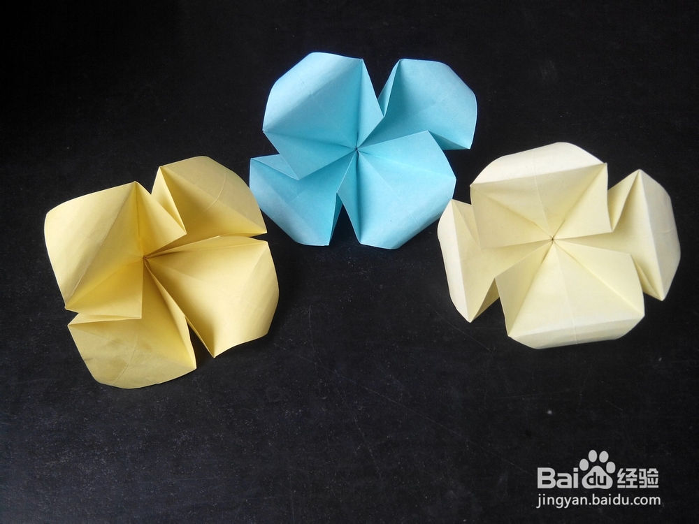 手工制作——折叠牵牛花