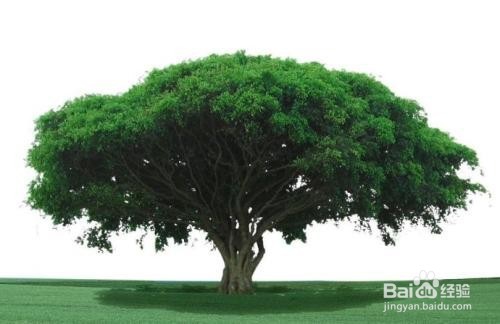 怎样选择创业项目