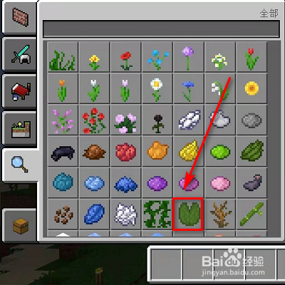 我的世界创造模式睡莲在哪里？