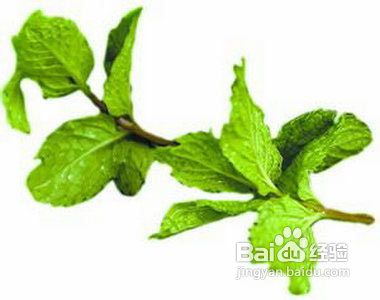 帮助清楚口腔隐患的食物