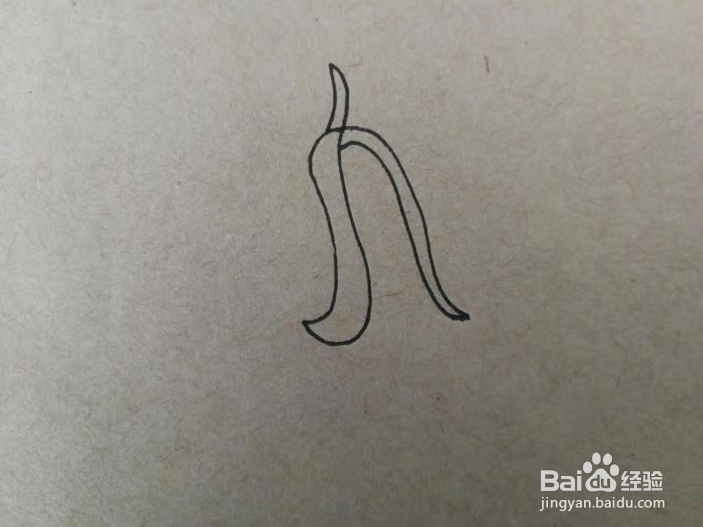 简笔画四季豆