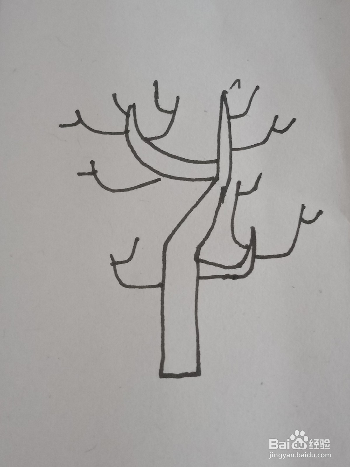 幼儿园简笔画树木