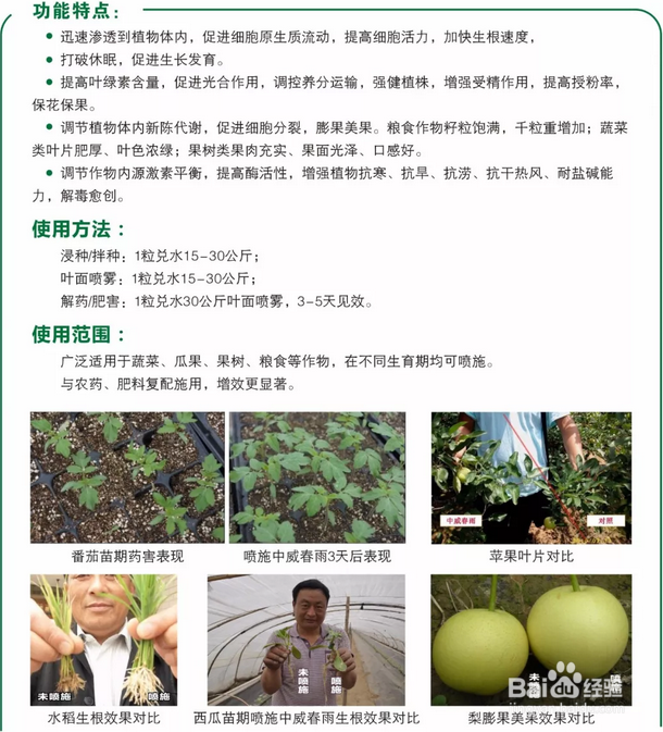 果树防冻害恢复技术,超好用,寒潮压境也能丰收