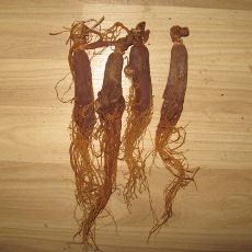 秋冬进补:沙参、红参、丹参、太子参有什么区别