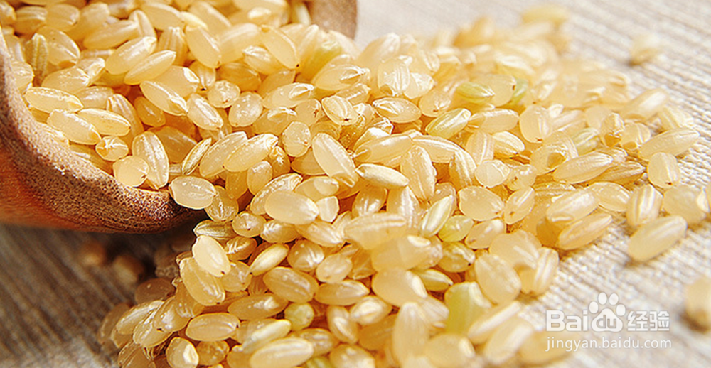 带有麦香气味的茶有哪些？