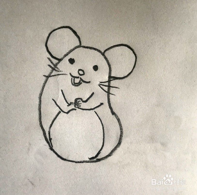 【简笔画】小老鼠的分步画法