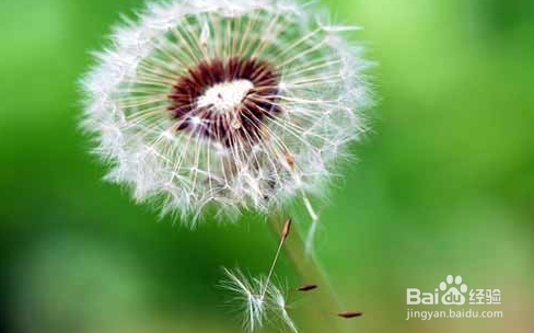 如何更克服自卑