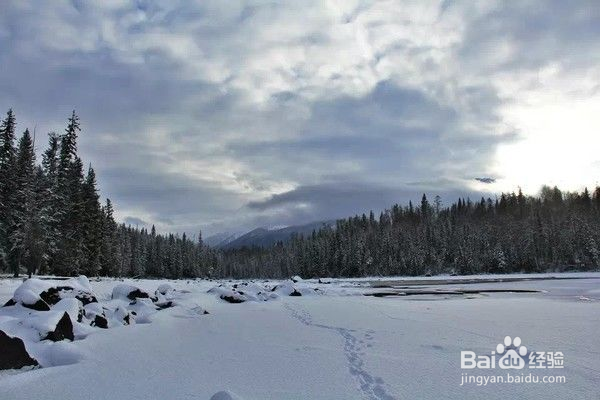 喀纳斯冬季五天旅行指南