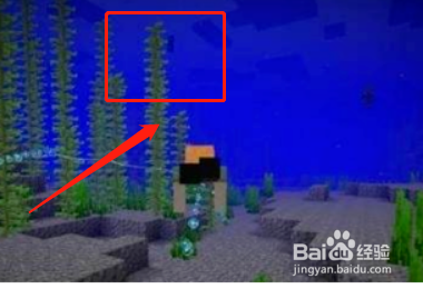 我的世界引雷怎么用