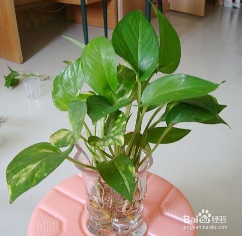 如何缓解空调房里的干燥症