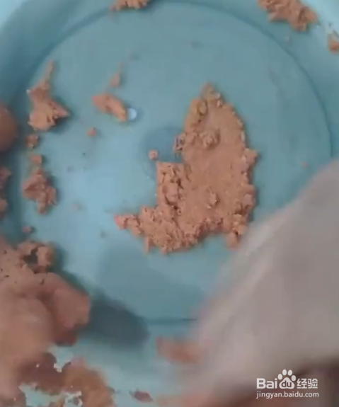 如何制作四季通用饵料